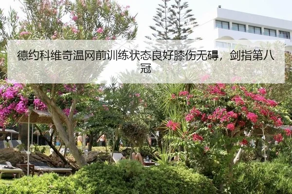 de-yue-ke-wei-qi-wen-wang-qian-xun-lian-zhuang-tai-liang-hao-xi-shang-wu-ai-jian-zhi-di-ba-guan-2-188.jpg